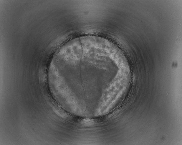 X0000091890413200710031806