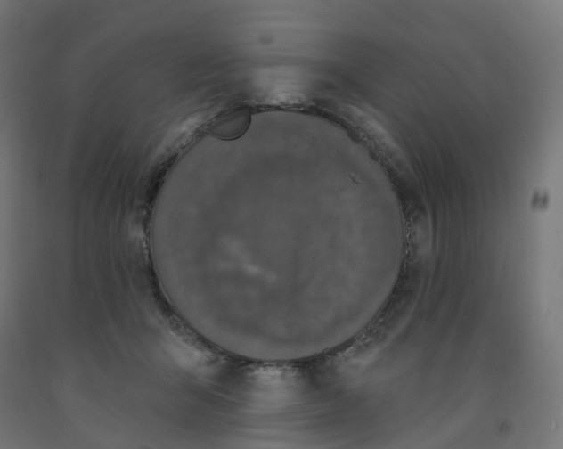 X0000091890415200710031806