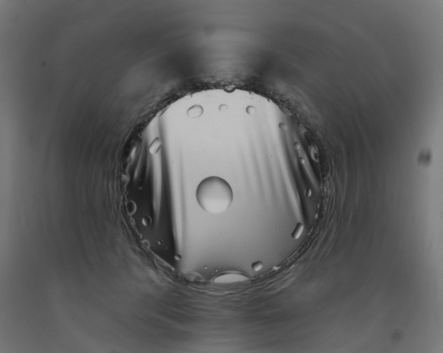 X0000091890416200710031806
