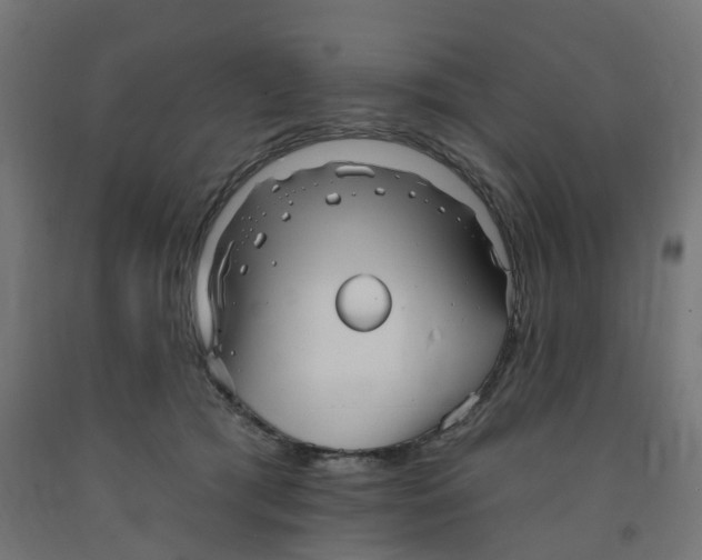 X0000091890417200710031806