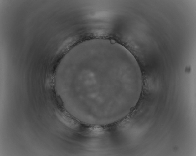 X0000091890419200710031806