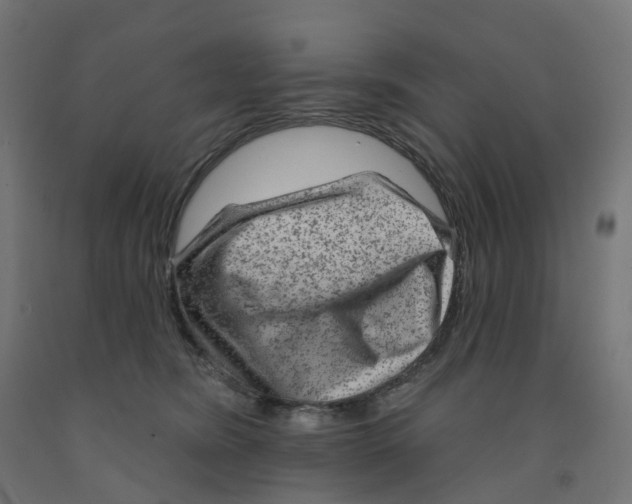 X0000091890420200710031806