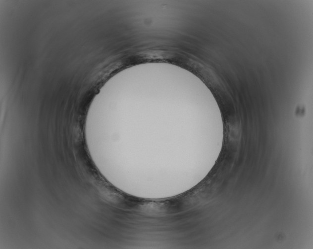 X0000091890422200710031806