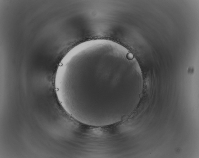 X0000091890423200710031806