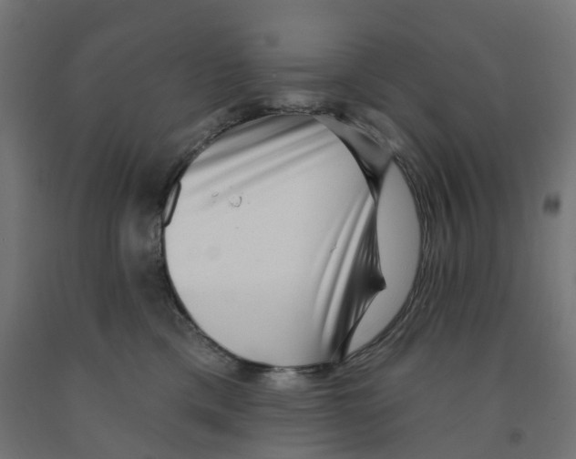 X0000091890425200710031806