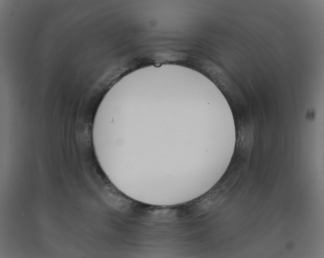 X0000091890426200710031806