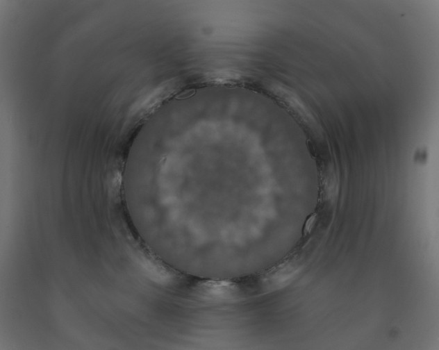 X0000091890427200710031806