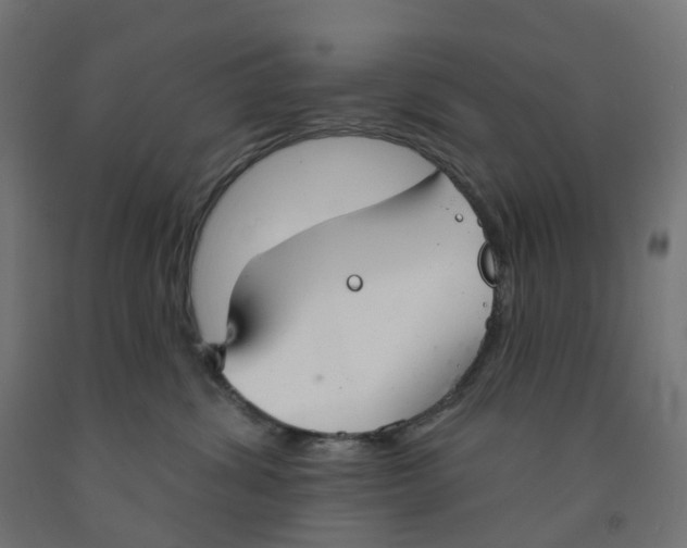X0000091890428200710031806