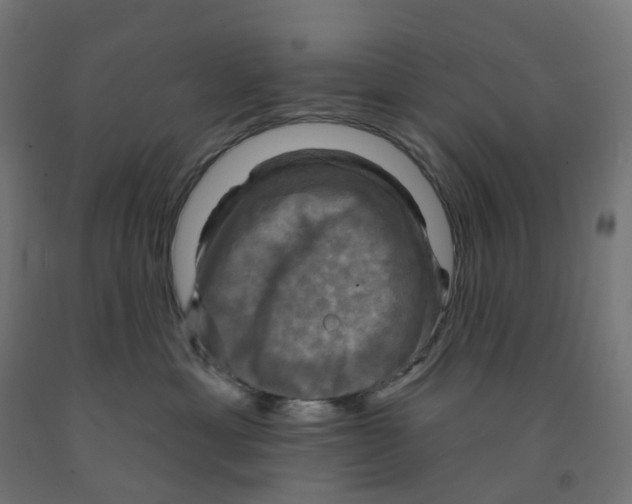X0000091890429200710031806