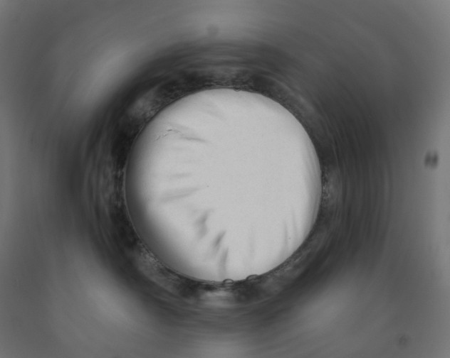 X0000091890430200710031806