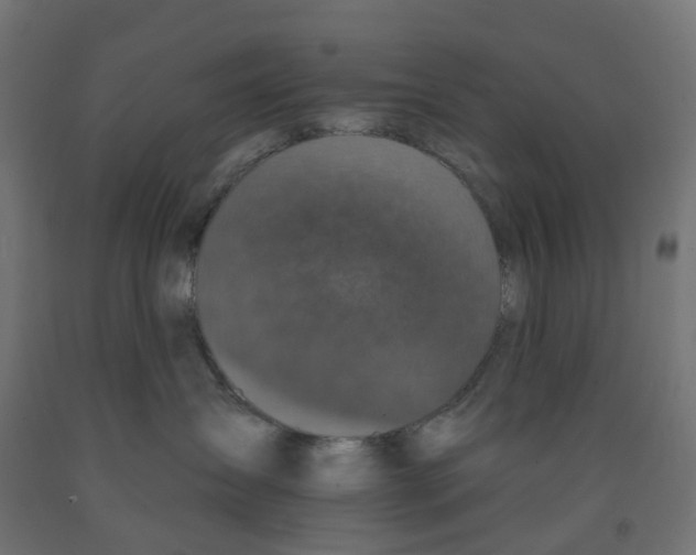 X0000091890431200710031806