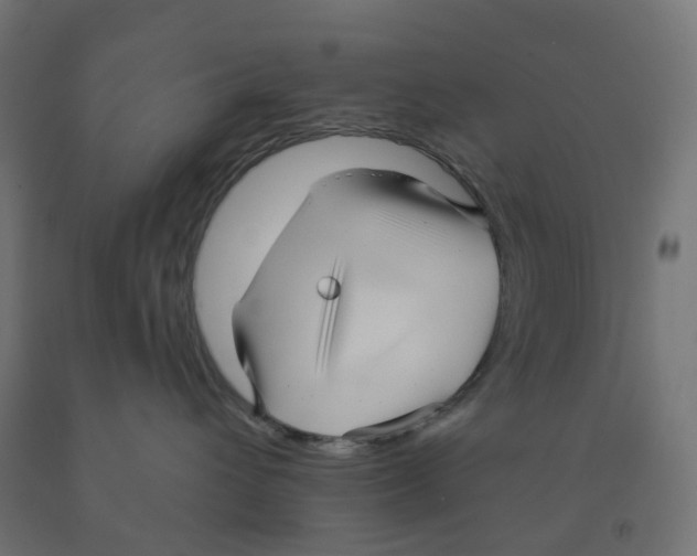 X0000091890432200710031806