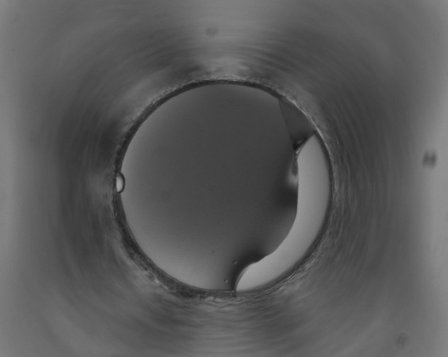 X0000091890434200710031805