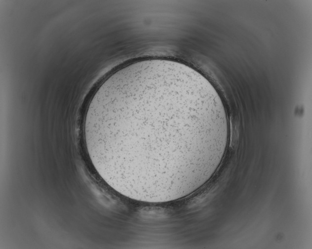 X0000091890435200710031805