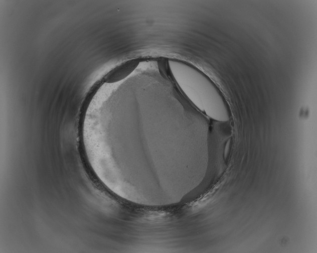 X0000091890438200710031806