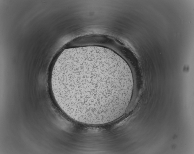 X0000091890439200710031806