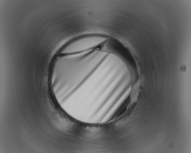 X0000091890440200710031806
