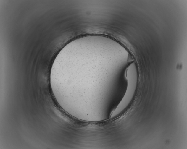 X0000091890441200710031806