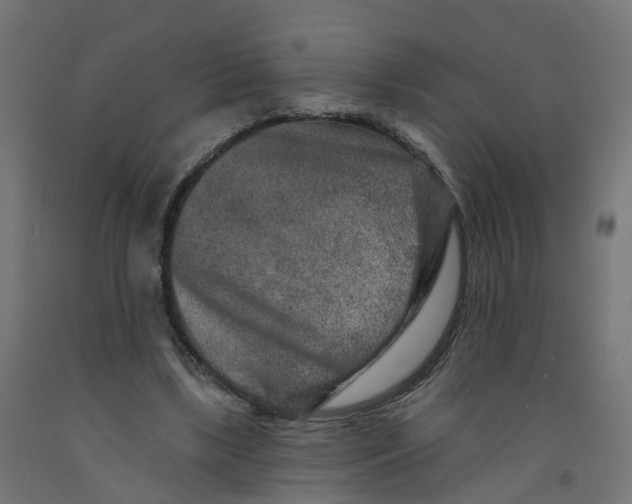 X0000091890443200710031806