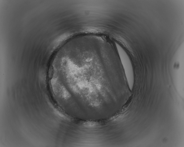 X0000091890444200710031806