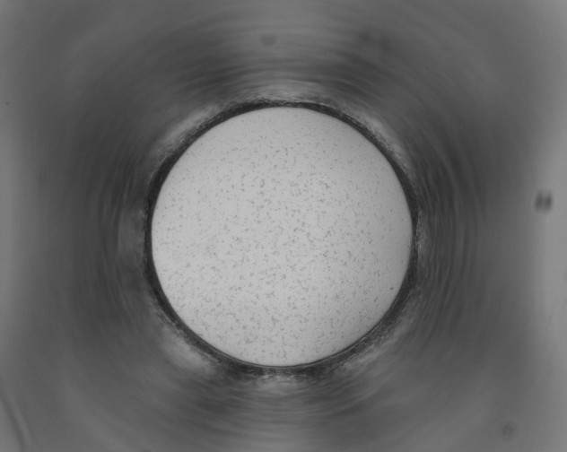 X0000091890445200710031806