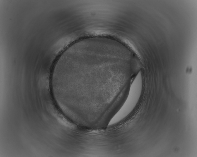 X0000091890447200710031806