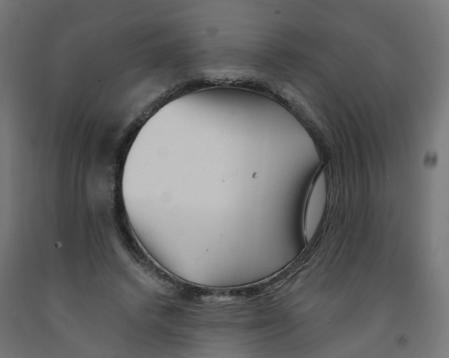 X0000091890448200710031806