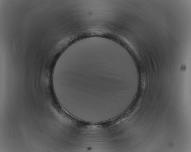X0000091890451200710031806