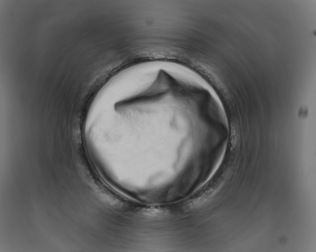 X0000091890453200710031806