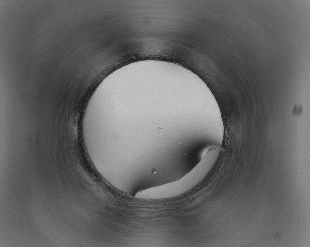 X0000091890454200710031806