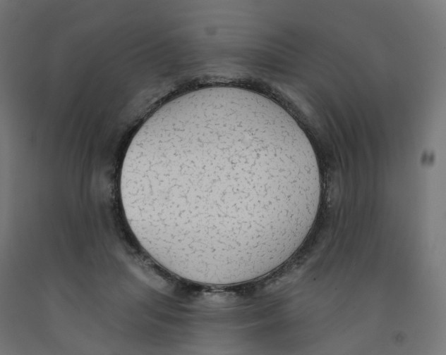 X0000091890455200710031806