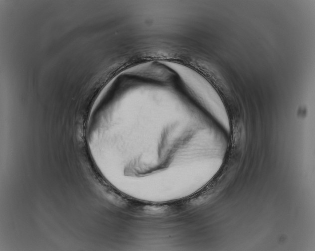 X0000091890457200710031806