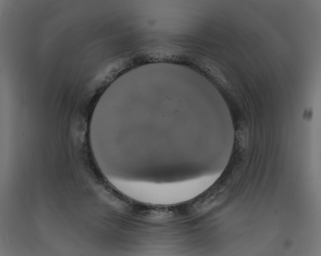 X0000091890458200710031806