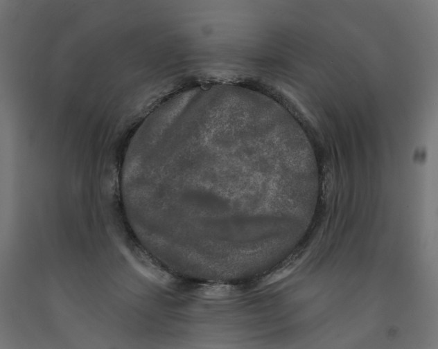 X0000091890459200710031806