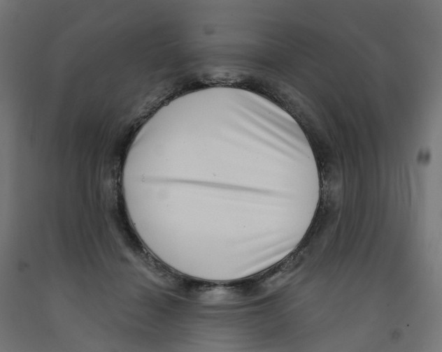X0000091890460200710031806