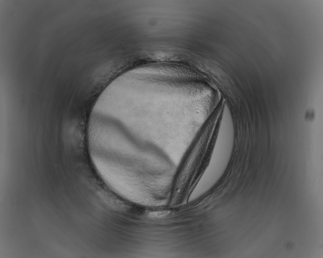 X0000091890461200710031806