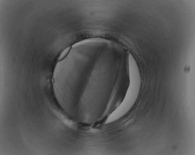 X0000091890462200710031806