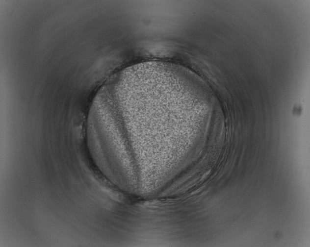 X0000091890464200710031806