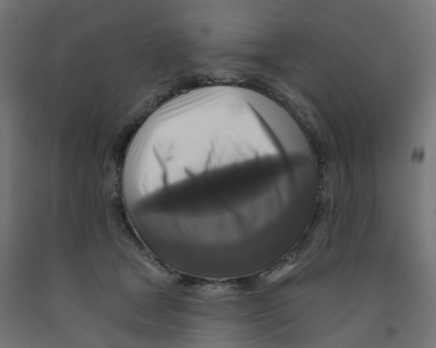 X0000091890465200710031806