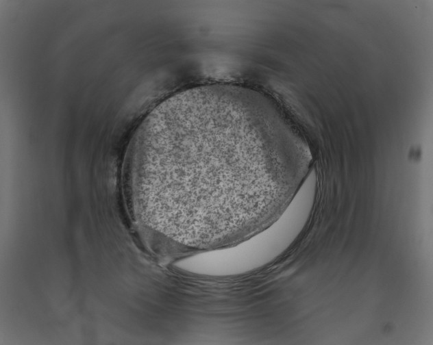 X0000091890466200710031806