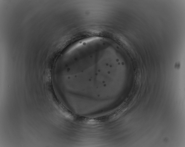 X0000091890467200710031806