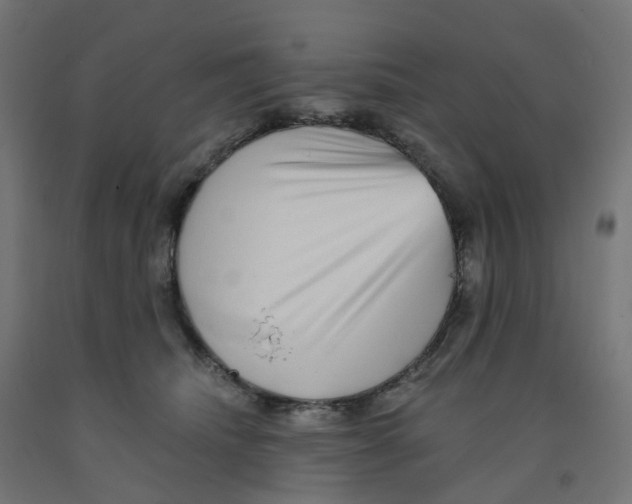 X0000091890468200710031806