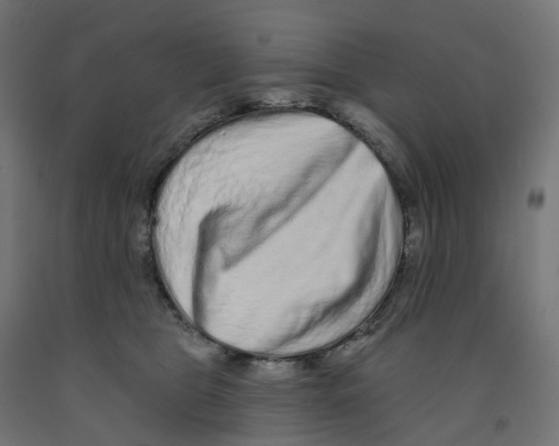 X0000091890469200710031806