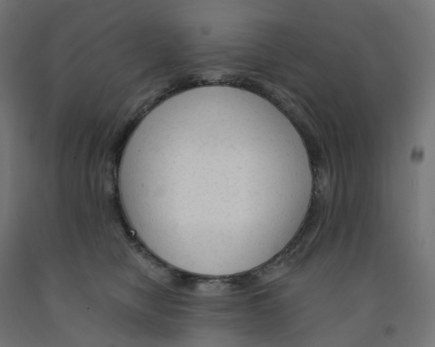 X0000091890470200710031806
