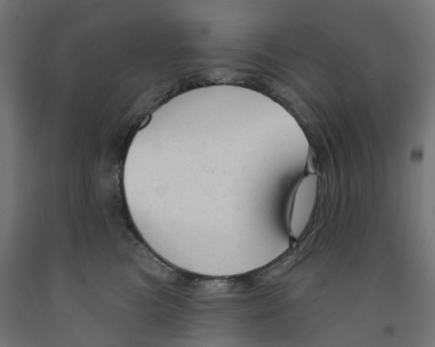 X0000091890473200710031806