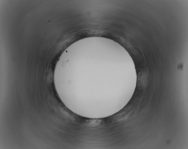 X0000091890474200710031806