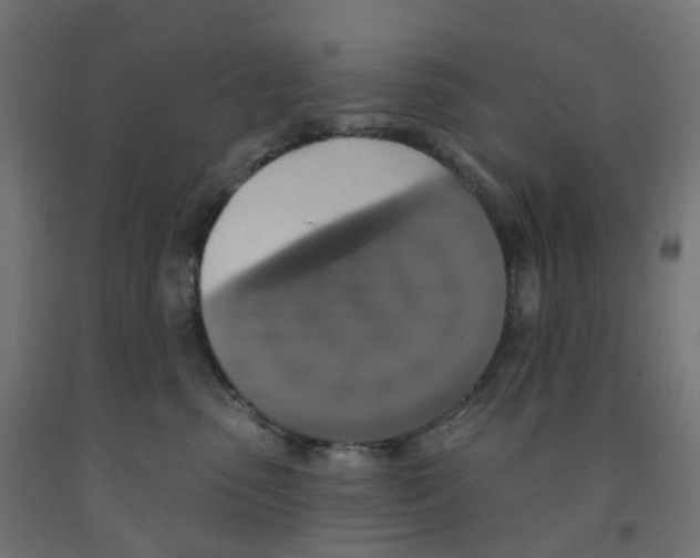 X0000091890475200710031806