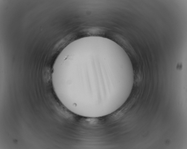 X0000091890478200710031806