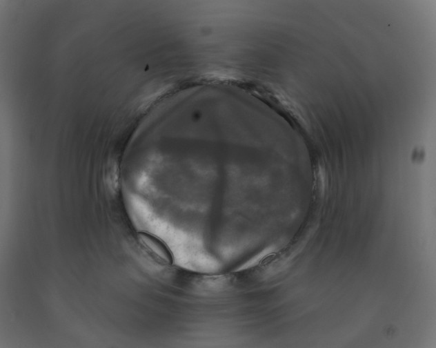 X0000091890479200710031806