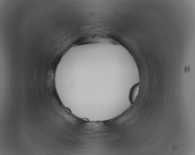 X0000091890480200710031806